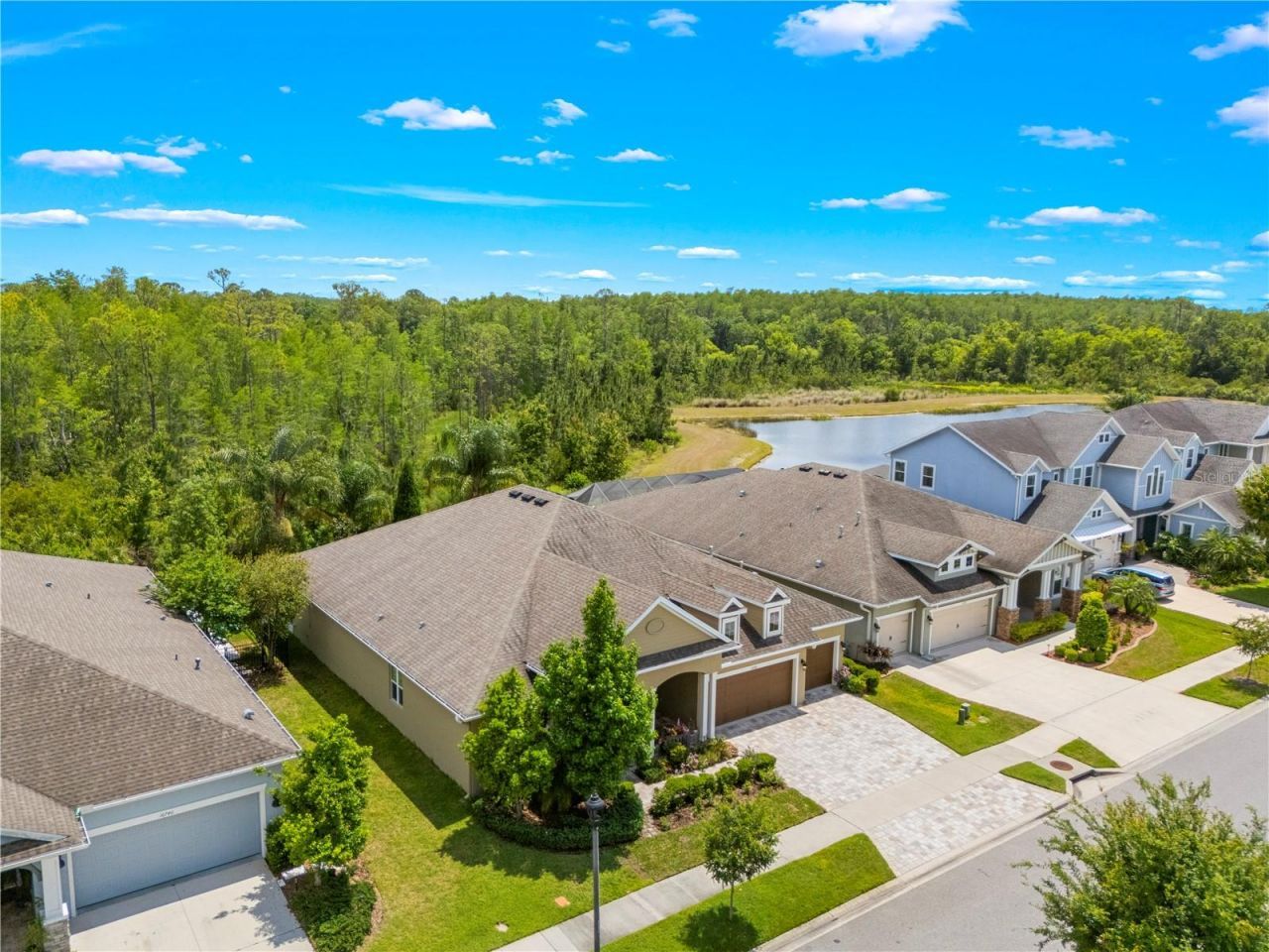 16726 Courtyard Loop, Land O Lakes, FL 34638 Photo