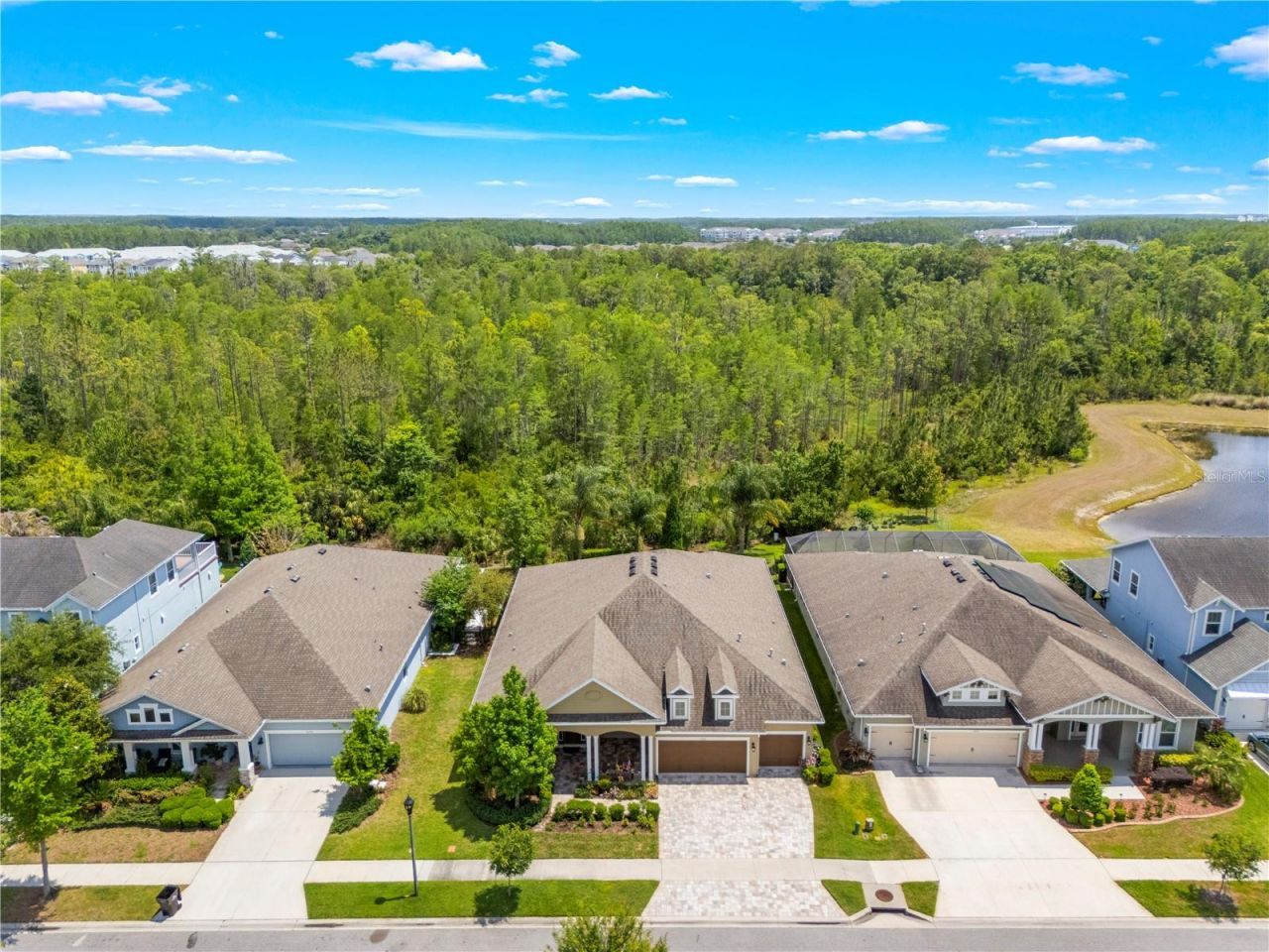 16726 Courtyard Loop, Land O Lakes, FL 34638 Photo