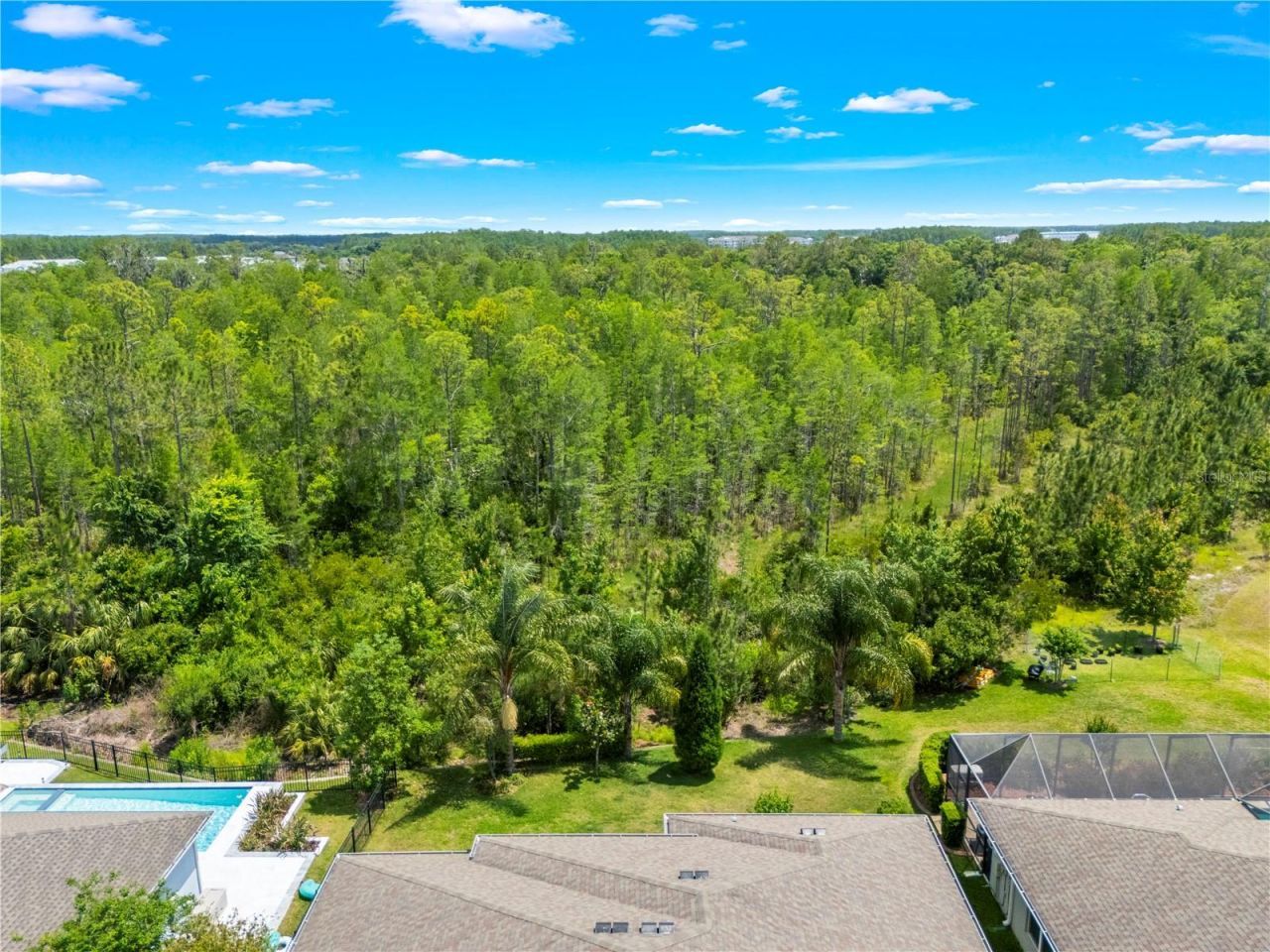 16726 Courtyard Loop, Land O Lakes, FL 34638 Photo