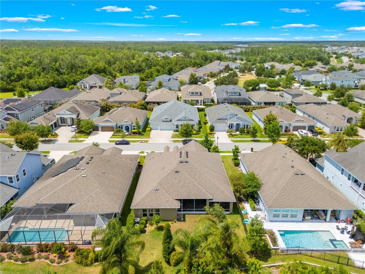 16726 Courtyard Loop, Land O Lakes, FL 34638 Photo