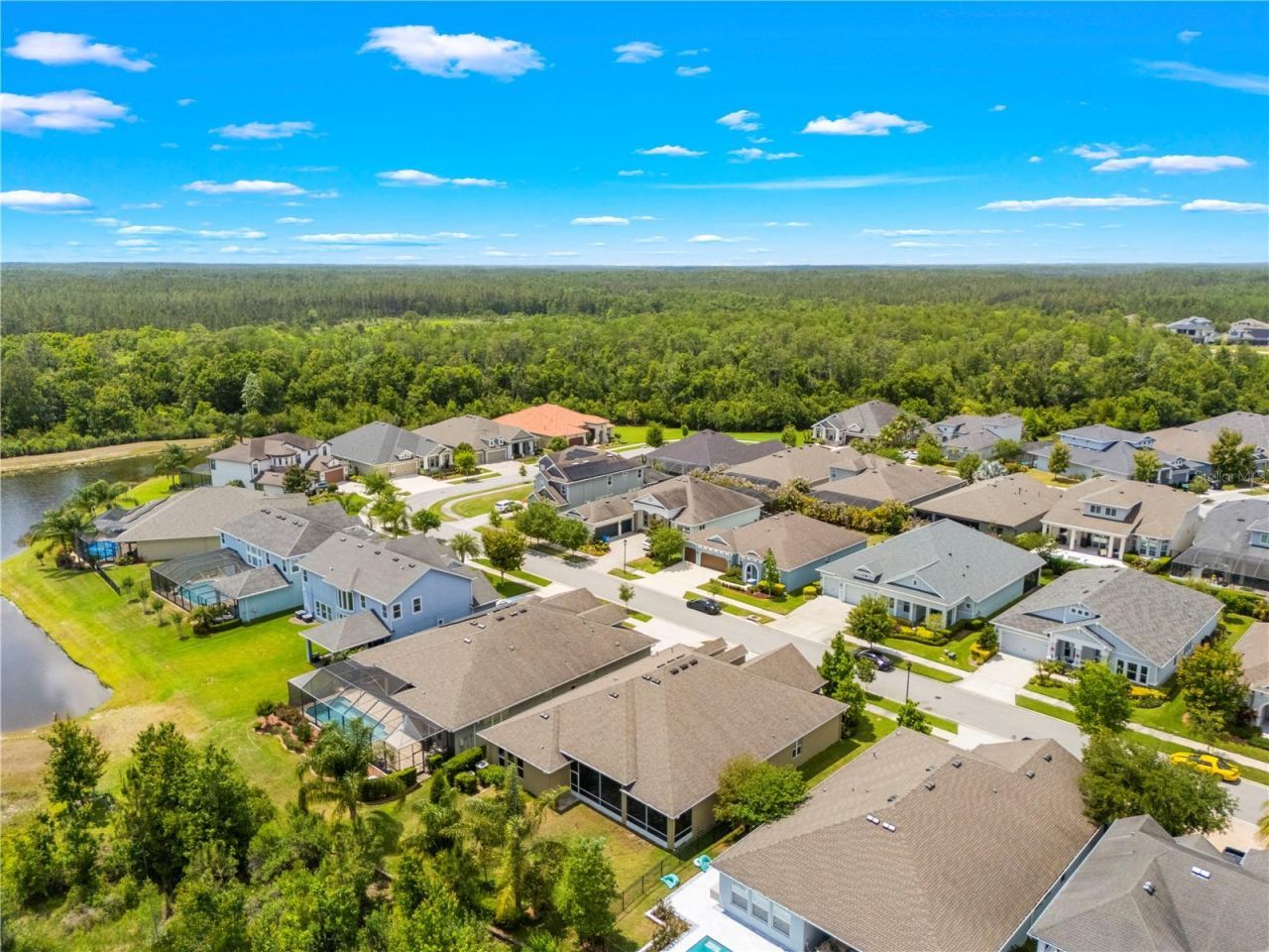 16726 Courtyard Loop, Land O Lakes, FL 34638 Photo