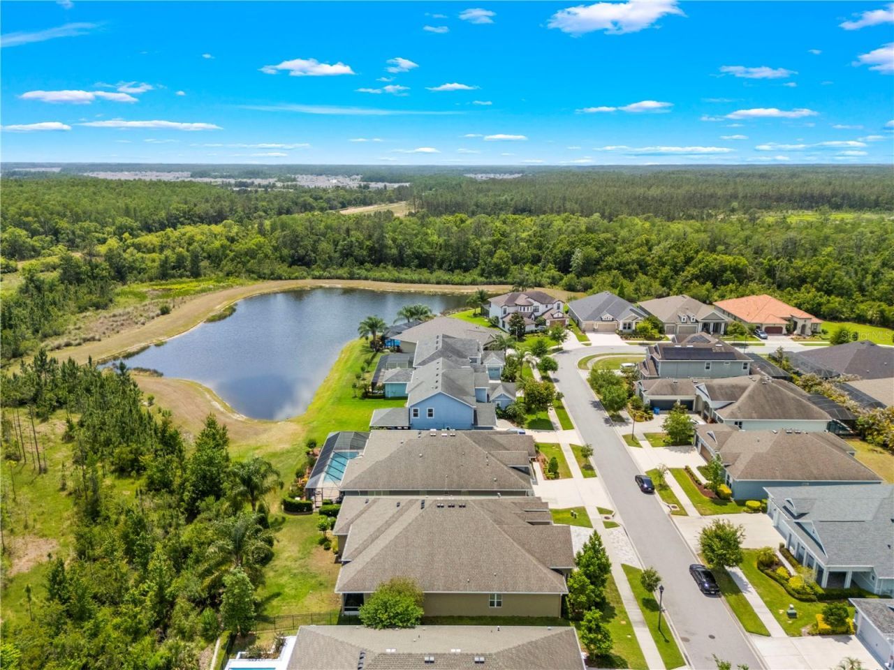 16726 Courtyard Loop, Land O Lakes, FL 34638 Photo