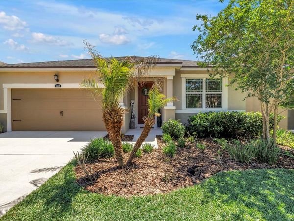 13229 ORCA SOUND DRIVE , RIVERVIEW, FL 33579