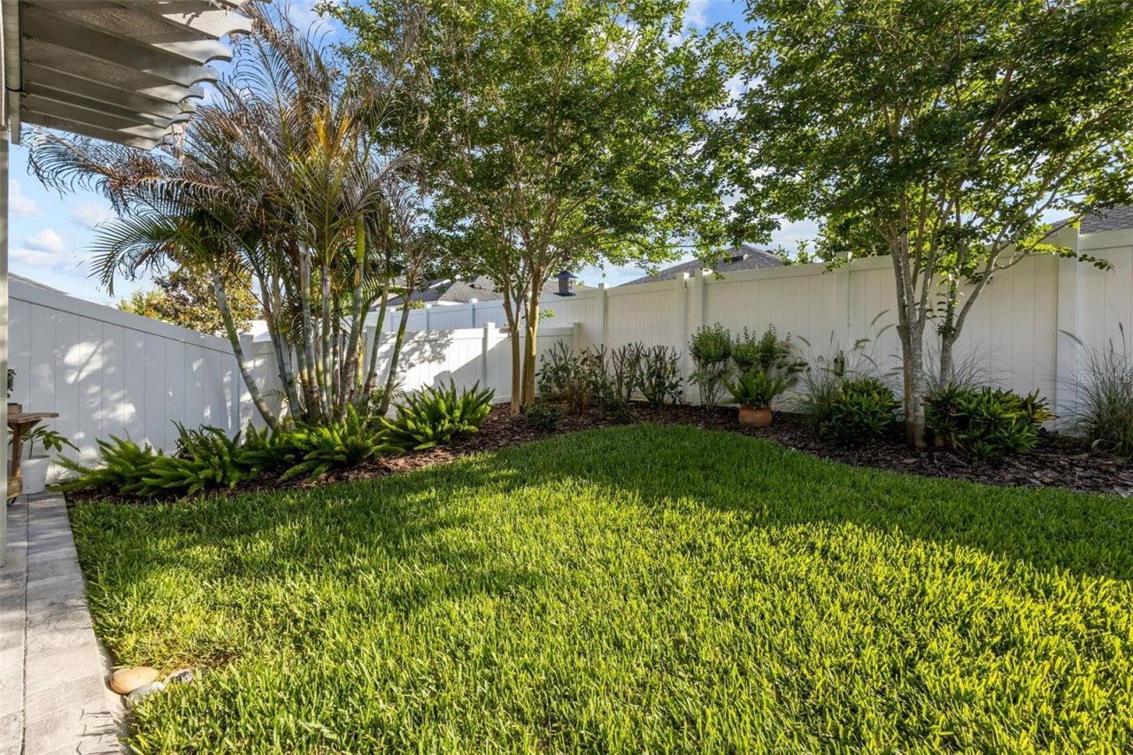 15166 Renaissance Avenue, Odessa, FL 33556 Photo