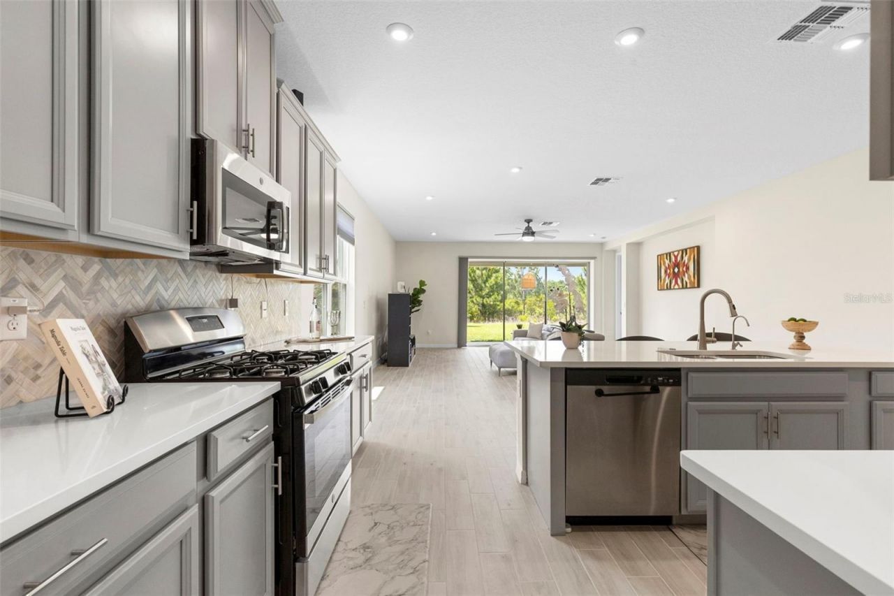 33410 Castaway Loop , Wesley Chapel, FL 33543 Photo