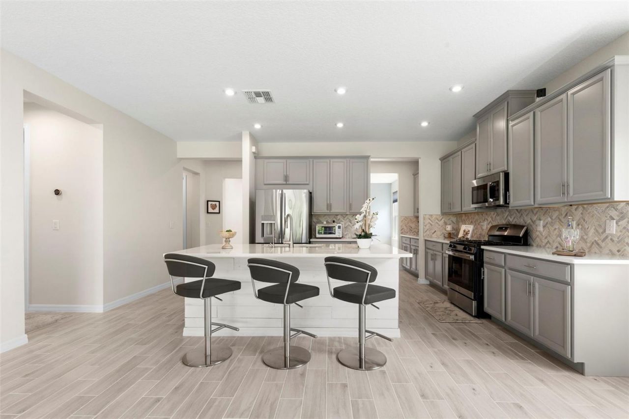 33410 Castaway Loop , Wesley Chapel, FL 33543 Photo