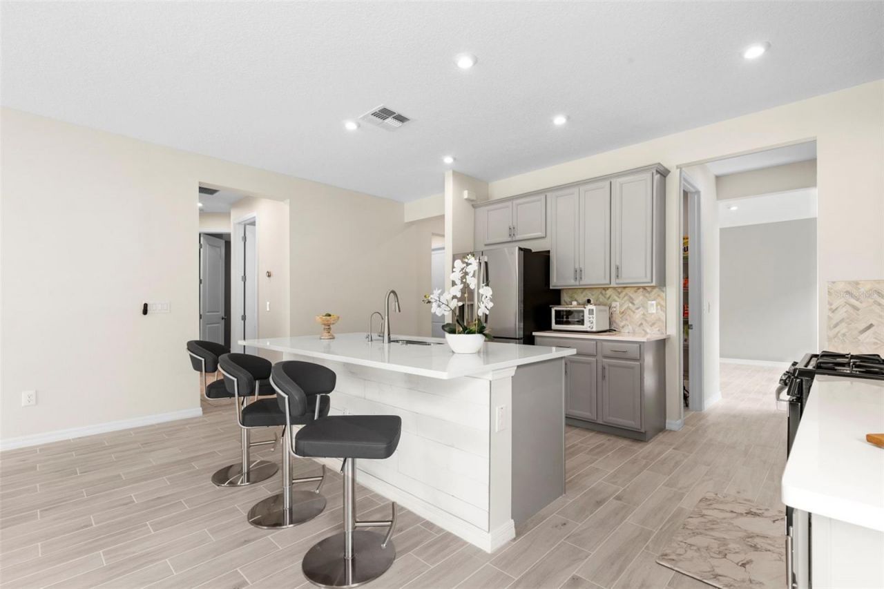 33410 Castaway Loop , Wesley Chapel, FL 33543 Photo