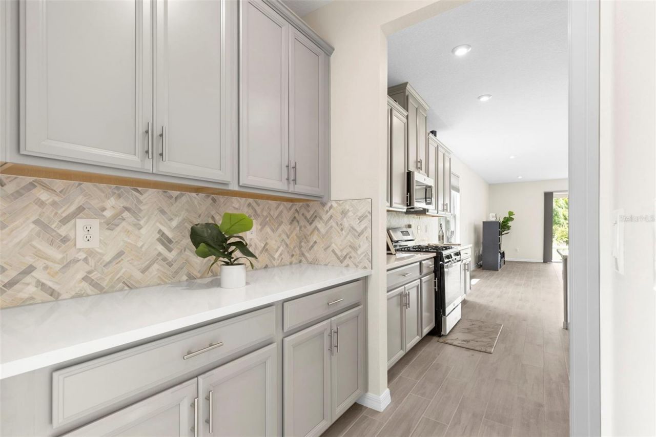 33410 Castaway Loop , Wesley Chapel, FL 33543 Photo