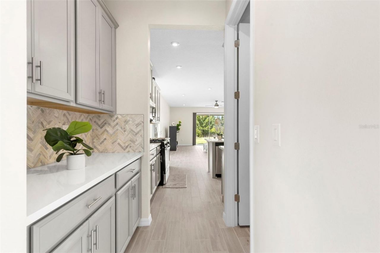 33410 Castaway Loop , Wesley Chapel, FL 33543 Photo