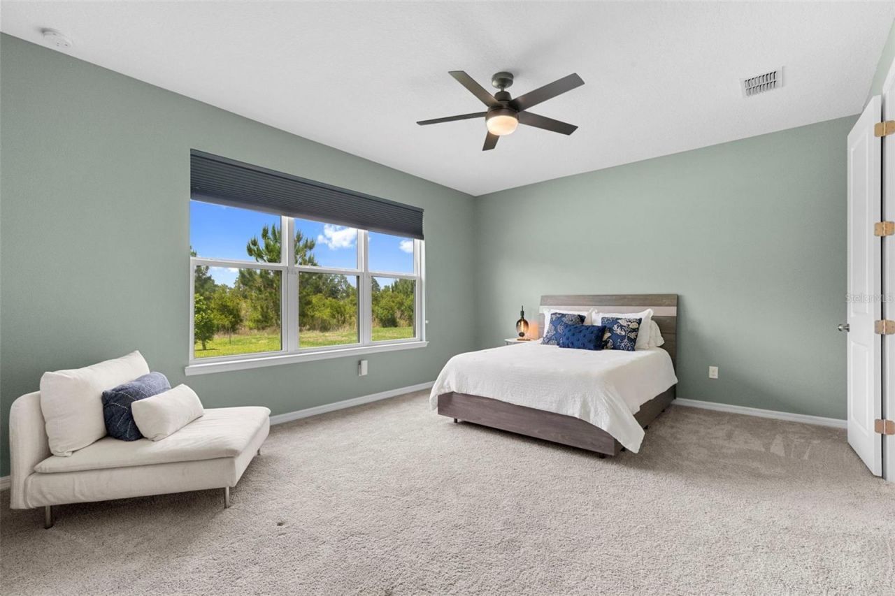 33410 Castaway Loop , Wesley Chapel, FL 33543 Photo