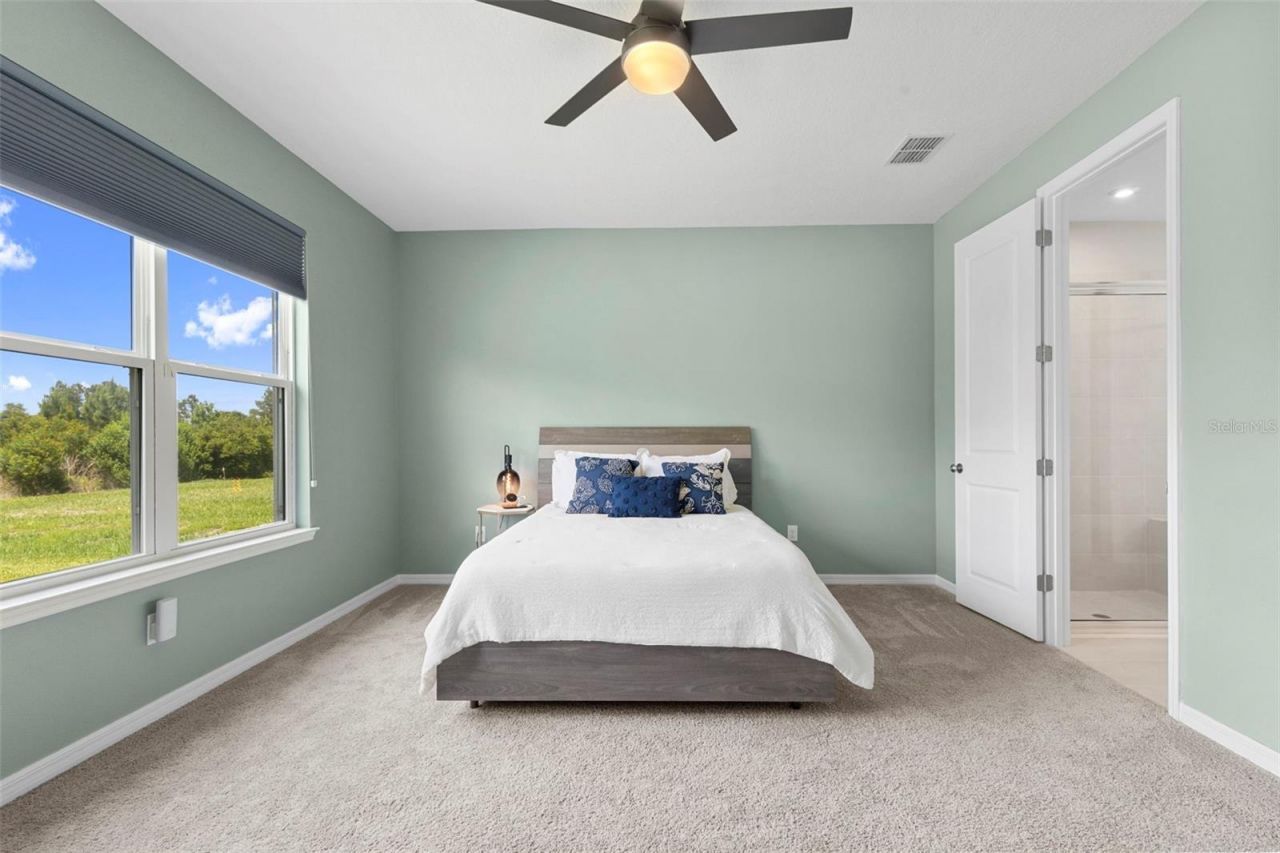 33410 Castaway Loop , Wesley Chapel, FL 33543 Photo