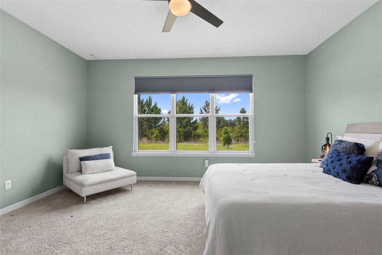 33410 Castaway Loop , Wesley Chapel, FL 33543 Photo