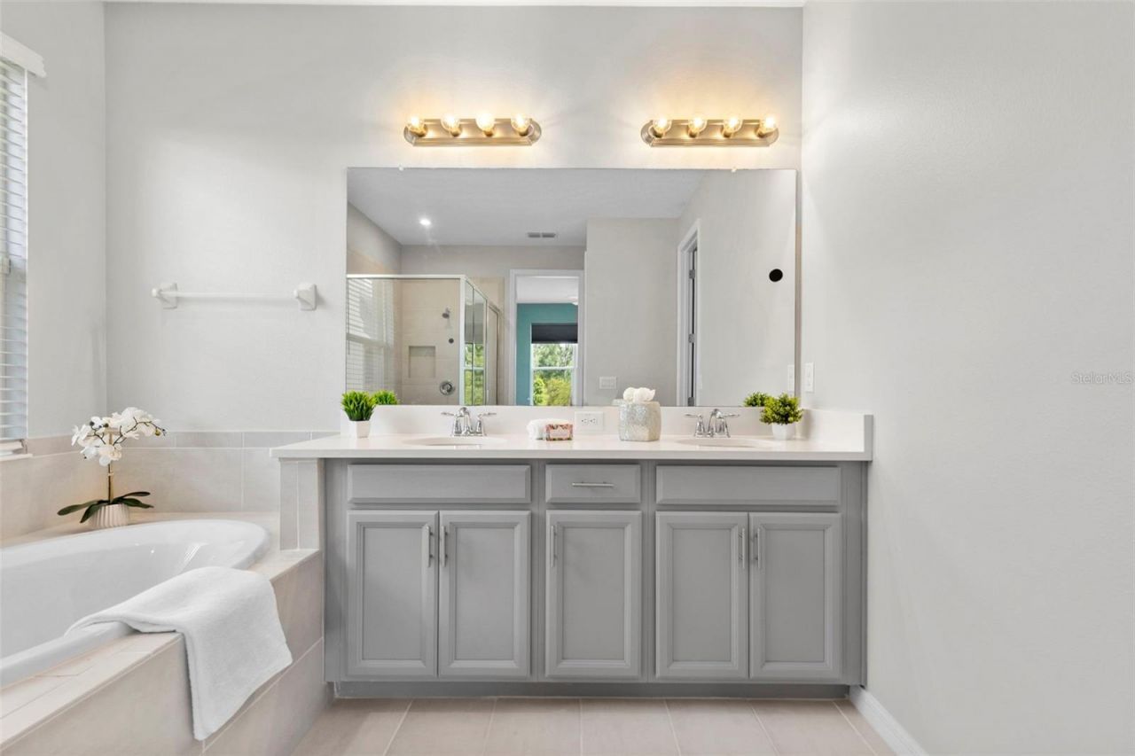 33410 Castaway Loop , Wesley Chapel, FL 33543 Photo