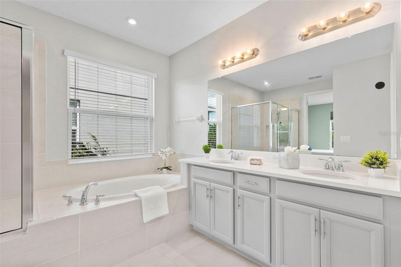 33410 Castaway Loop , Wesley Chapel, FL 33543 Photo
