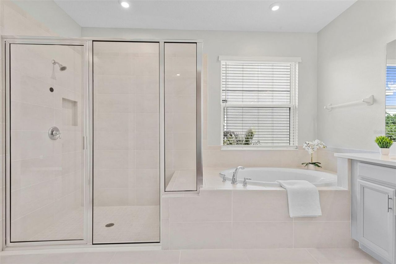 33410 Castaway Loop , Wesley Chapel, FL 33543 Photo