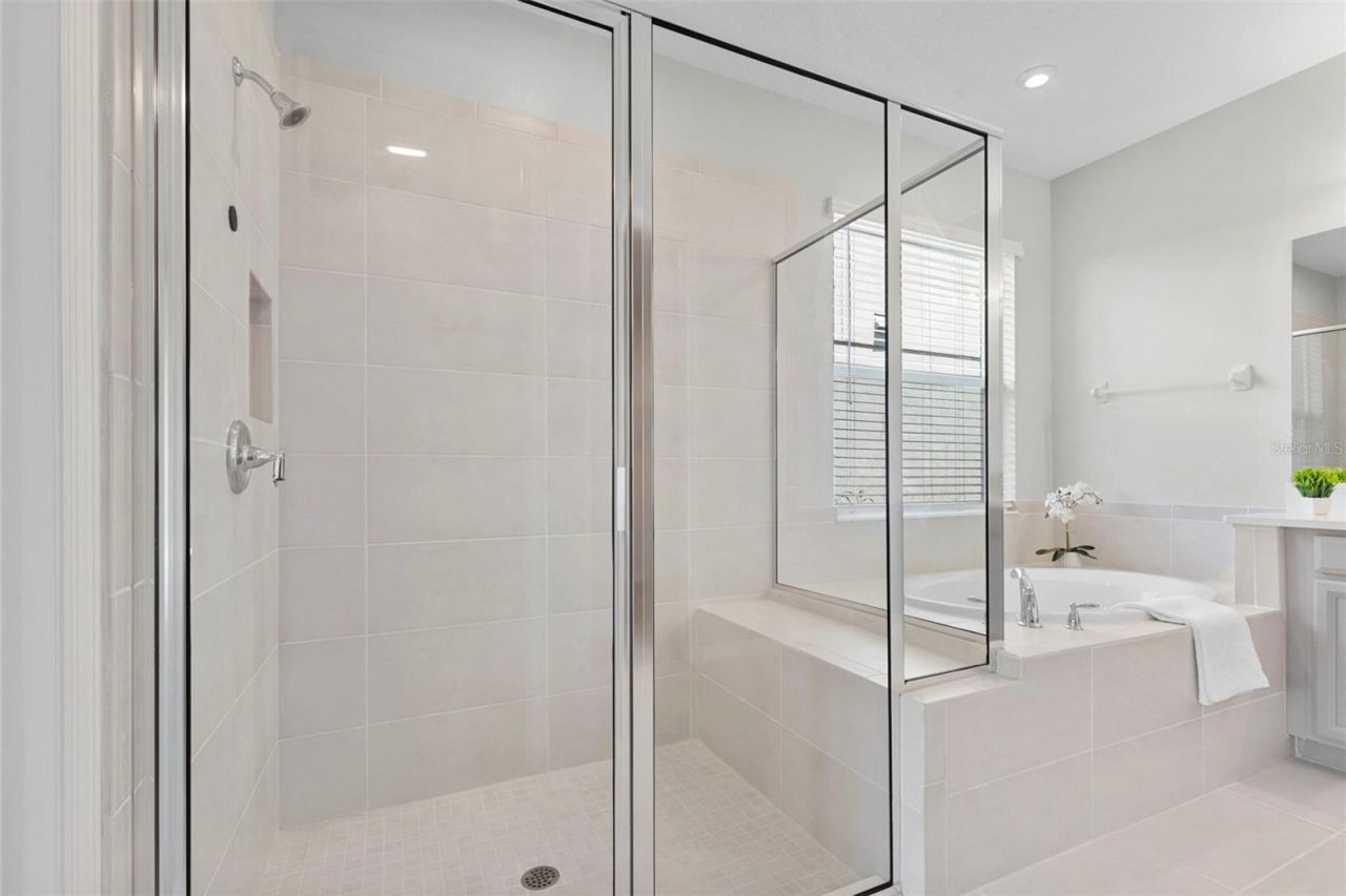 33410 Castaway Loop , Wesley Chapel, FL 33543 Photo