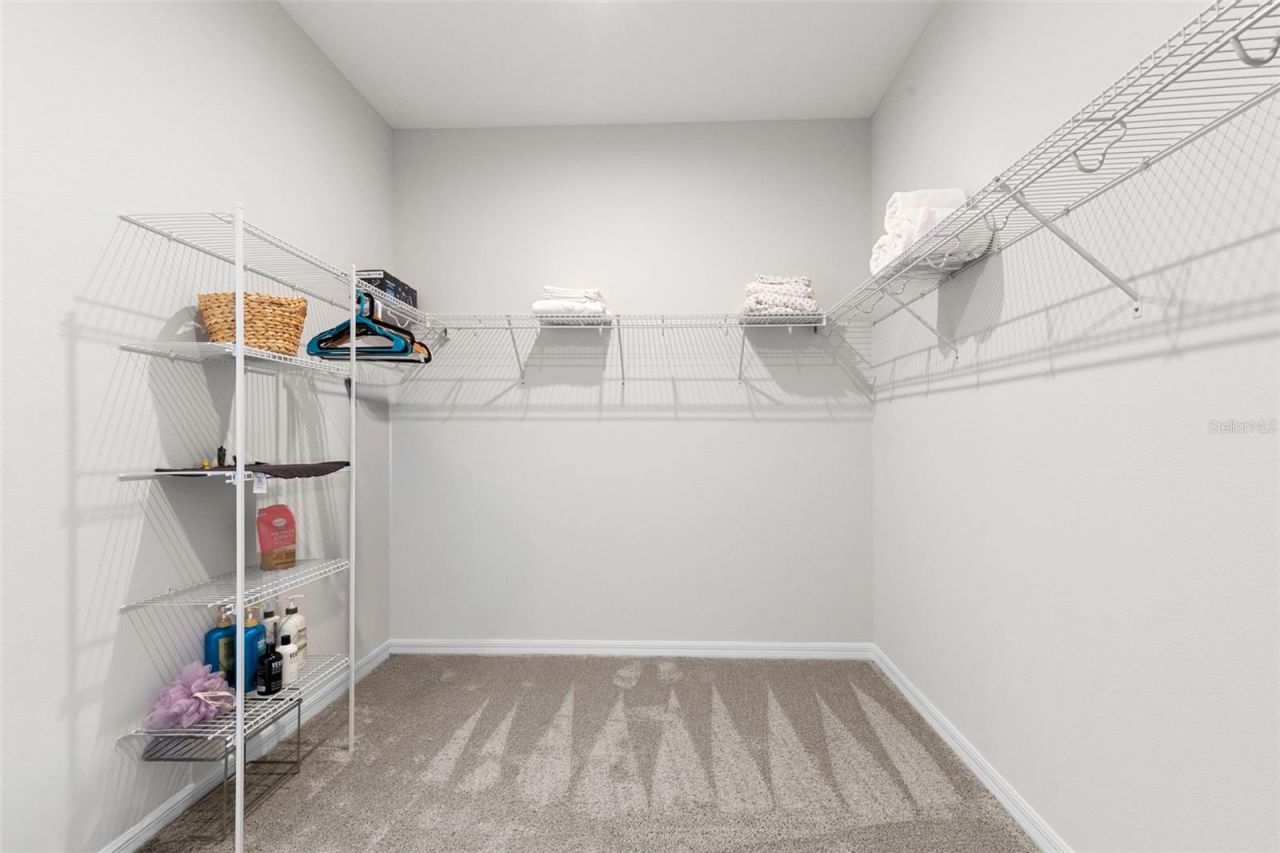 33410 Castaway Loop , Wesley Chapel, FL 33543 Photo