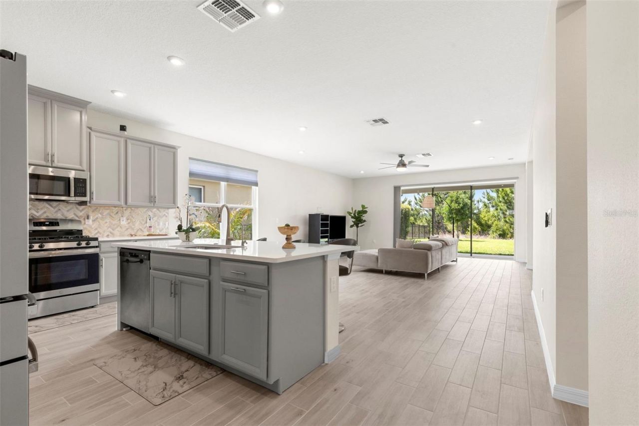 33410 Castaway Loop , Wesley Chapel, FL 33543 Photo