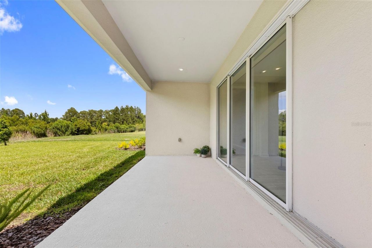33410 Castaway Loop , Wesley Chapel, FL 33543 Photo