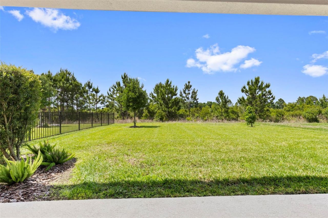 33410 Castaway Loop , Wesley Chapel, FL 33543 Photo