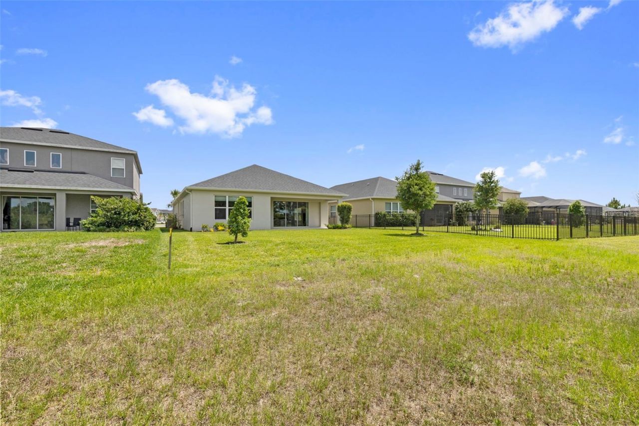 33410 Castaway Loop , Wesley Chapel, FL 33543 Photo
