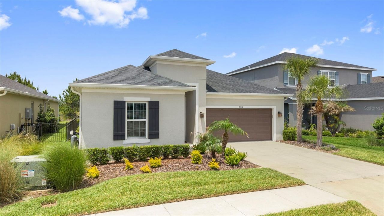 33410 Castaway Loop , Wesley Chapel, FL 33543 Photo