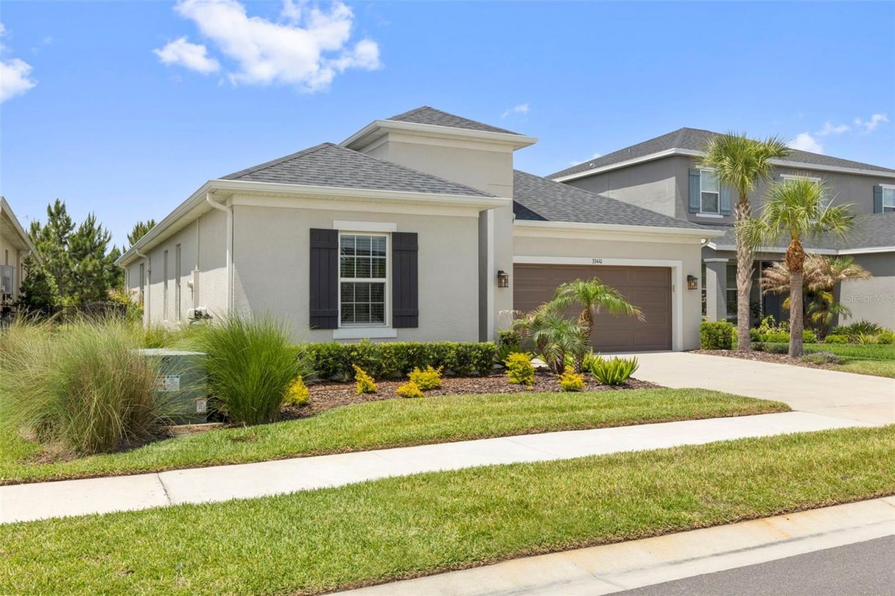 33410 Castaway Loop , Wesley Chapel, FL 33543 Photo