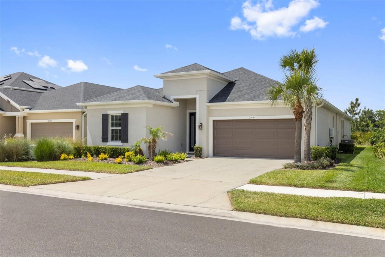 33410 Castaway Loop , Wesley Chapel, FL 33543 Photo