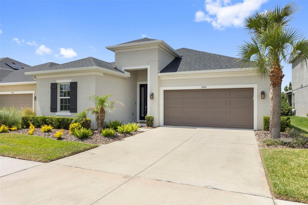 33410 Castaway Loop , Wesley Chapel, FL 33543 Photo