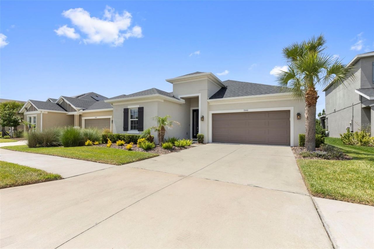 33410 Castaway Loop , Wesley Chapel, FL 33543 Photo
