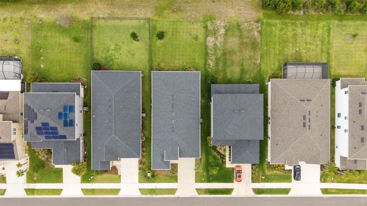33410 Castaway Loop , Wesley Chapel, FL 33543 Photo