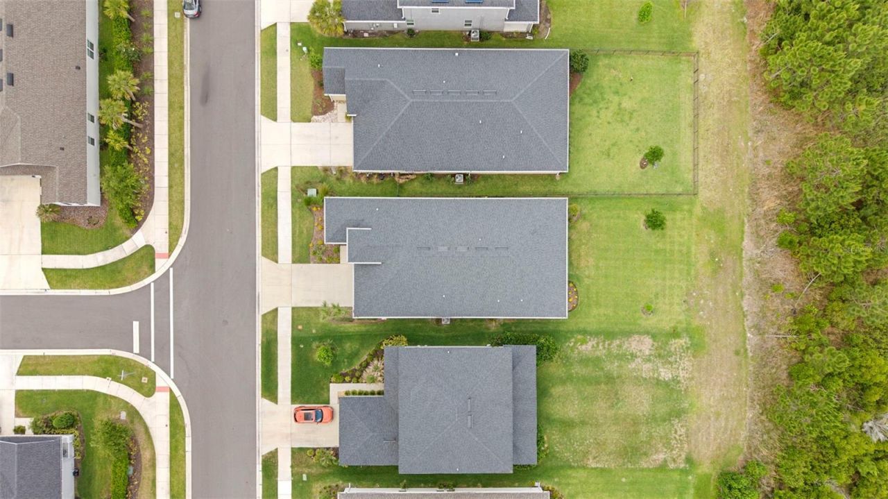 33410 Castaway Loop , Wesley Chapel, FL 33543 Photo
