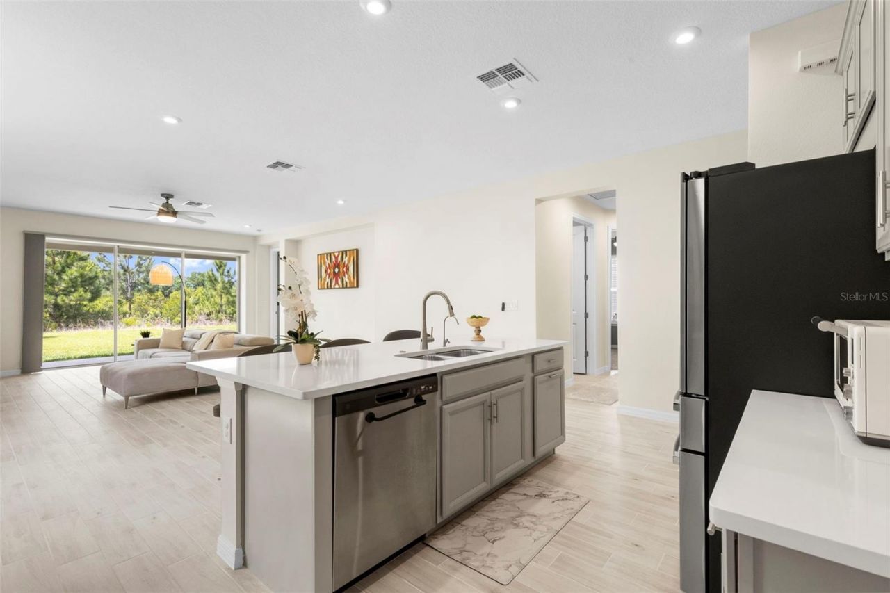 33410 Castaway Loop , Wesley Chapel, FL 33543 Photo