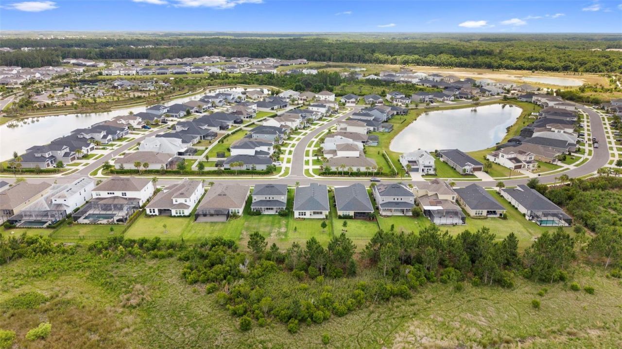 33410 Castaway Loop , Wesley Chapel, FL 33543 Photo