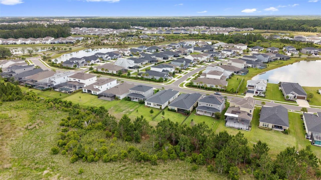 33410 Castaway Loop , Wesley Chapel, FL 33543 Photo