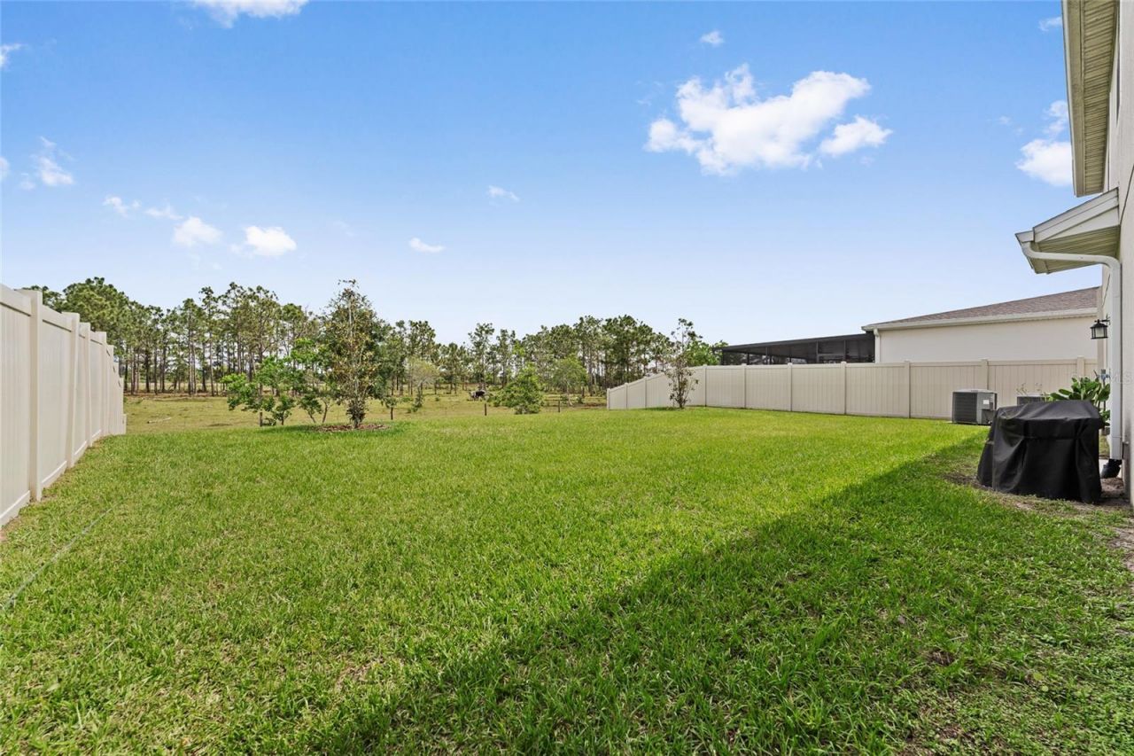 799 Hitch Loop , Saint Cloud, FL 34772 Photo