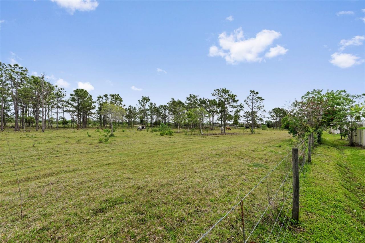 799 Hitch Loop , Saint Cloud, FL 34772 Photo