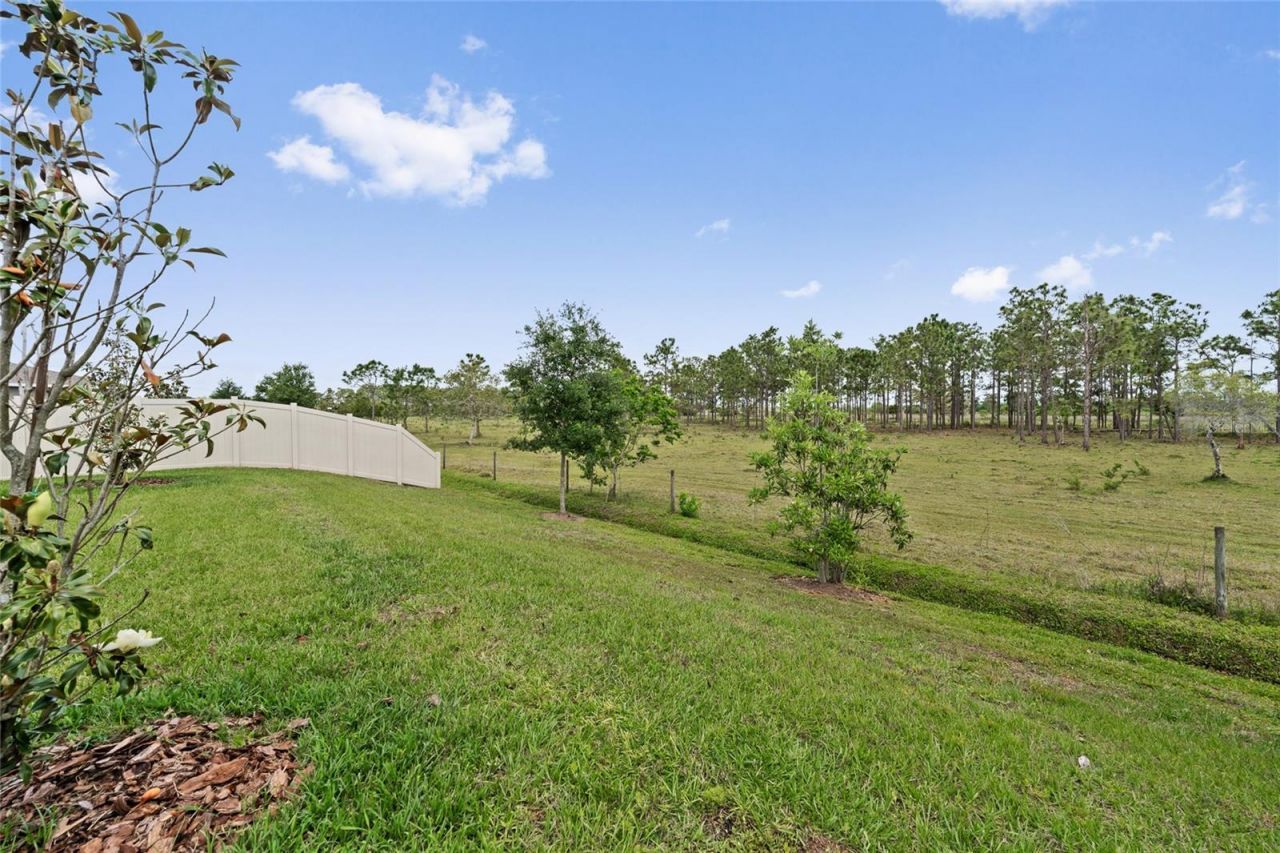 799 Hitch Loop , Saint Cloud, FL 34772 Photo