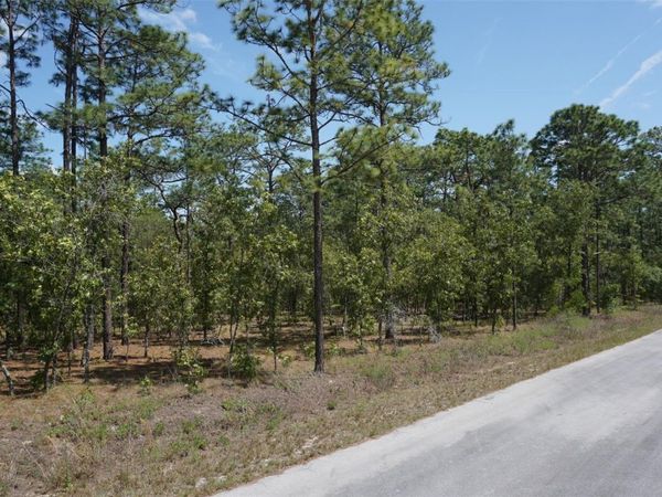 TBD NW TREE TOP ROAD, DUNNELLON, FL 34431