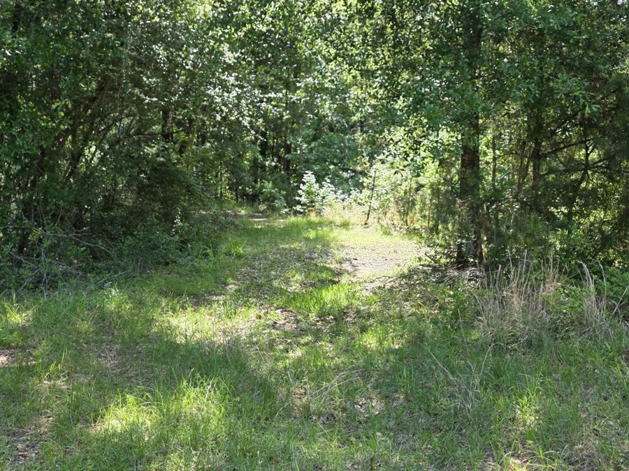 Property Image 57