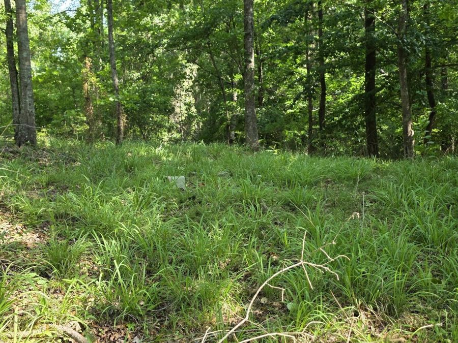 Property Image 64