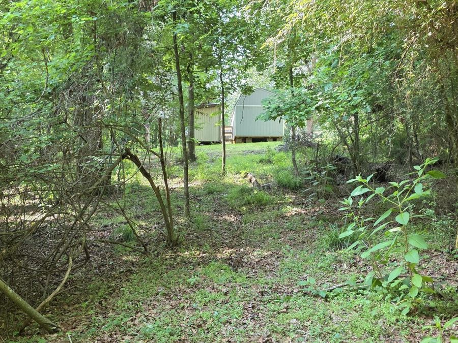 Property Image 66
