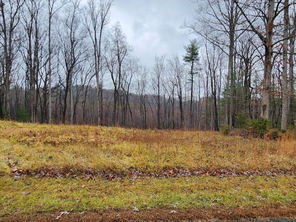 LOT 11 Woods Edge DR , Rocky Mount, VA 24151