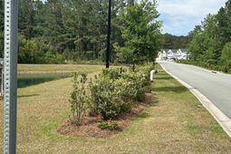 249 Conifer Street photo 4