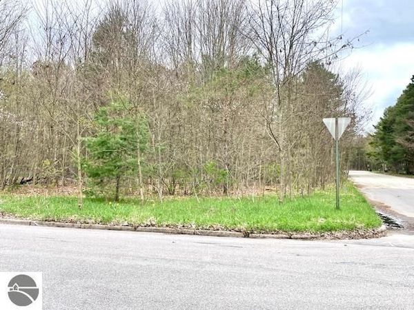 Brook Avenue, Kaleva, MI 49645