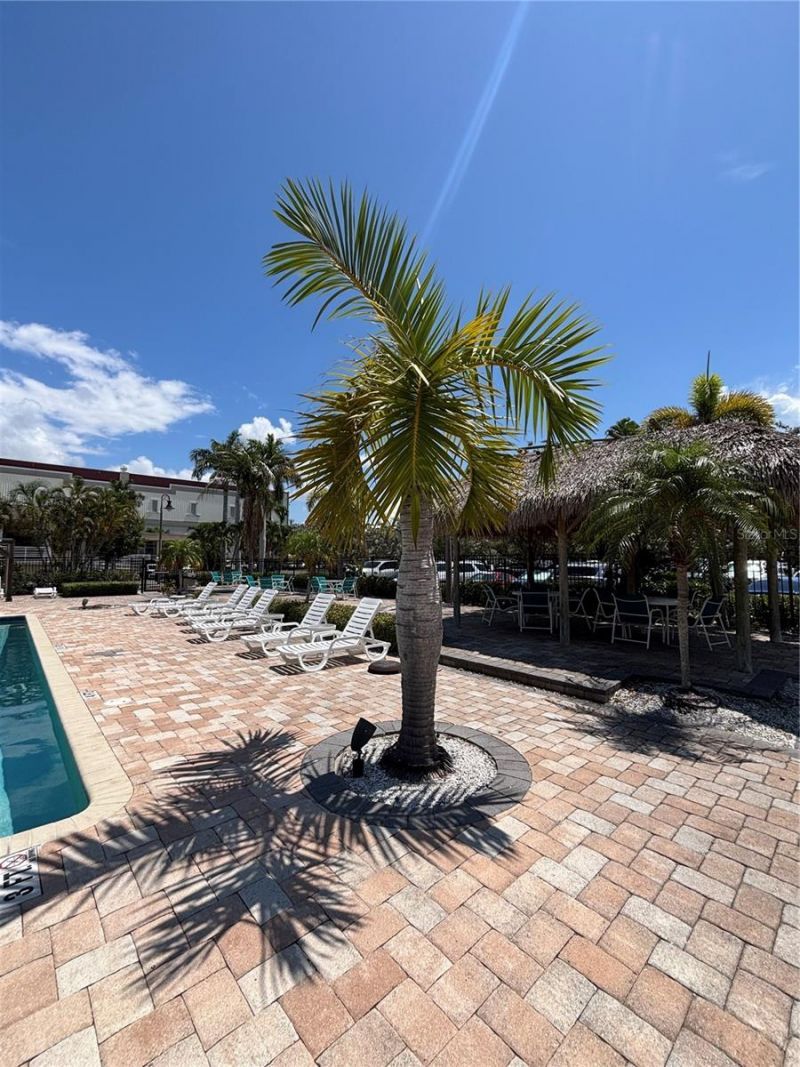 3231 Nautical Place S, Saint Petersburg, FL 33714 Photo