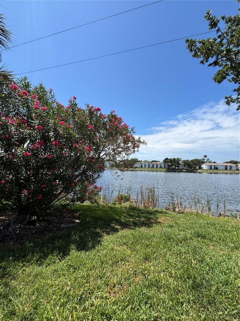 3231 Nautical Place S, Saint Petersburg, FL 33714 Photo
