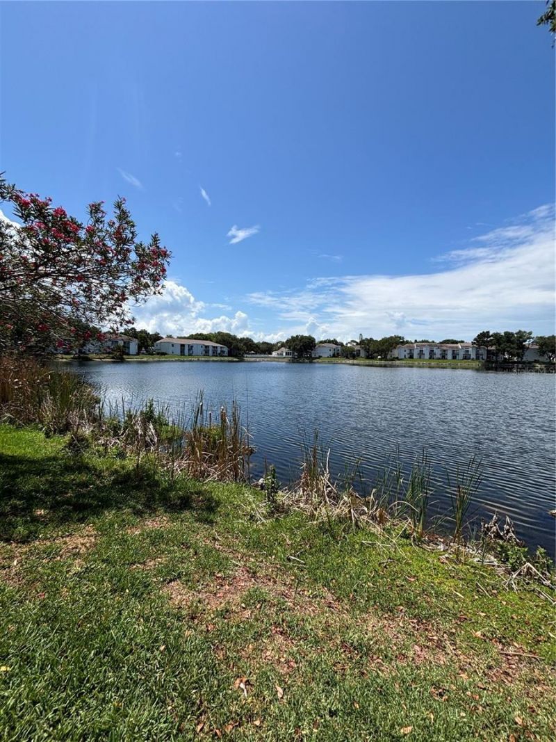 3231 Nautical Place S, Saint Petersburg, FL 33714 Photo