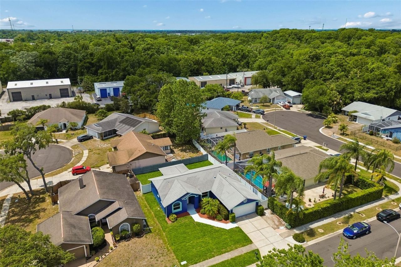 8031 Gabriel Drive , Port Richey, FL 34668 Photo