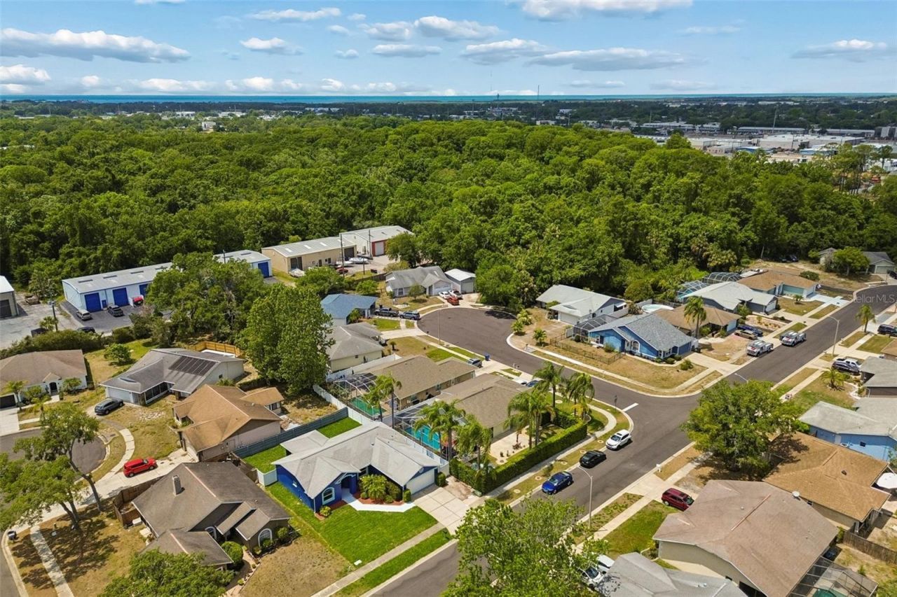 8031 Gabriel Drive , Port Richey, FL 34668 Photo